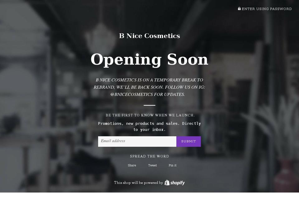 bnicecosmetics.com shopify website screenshot