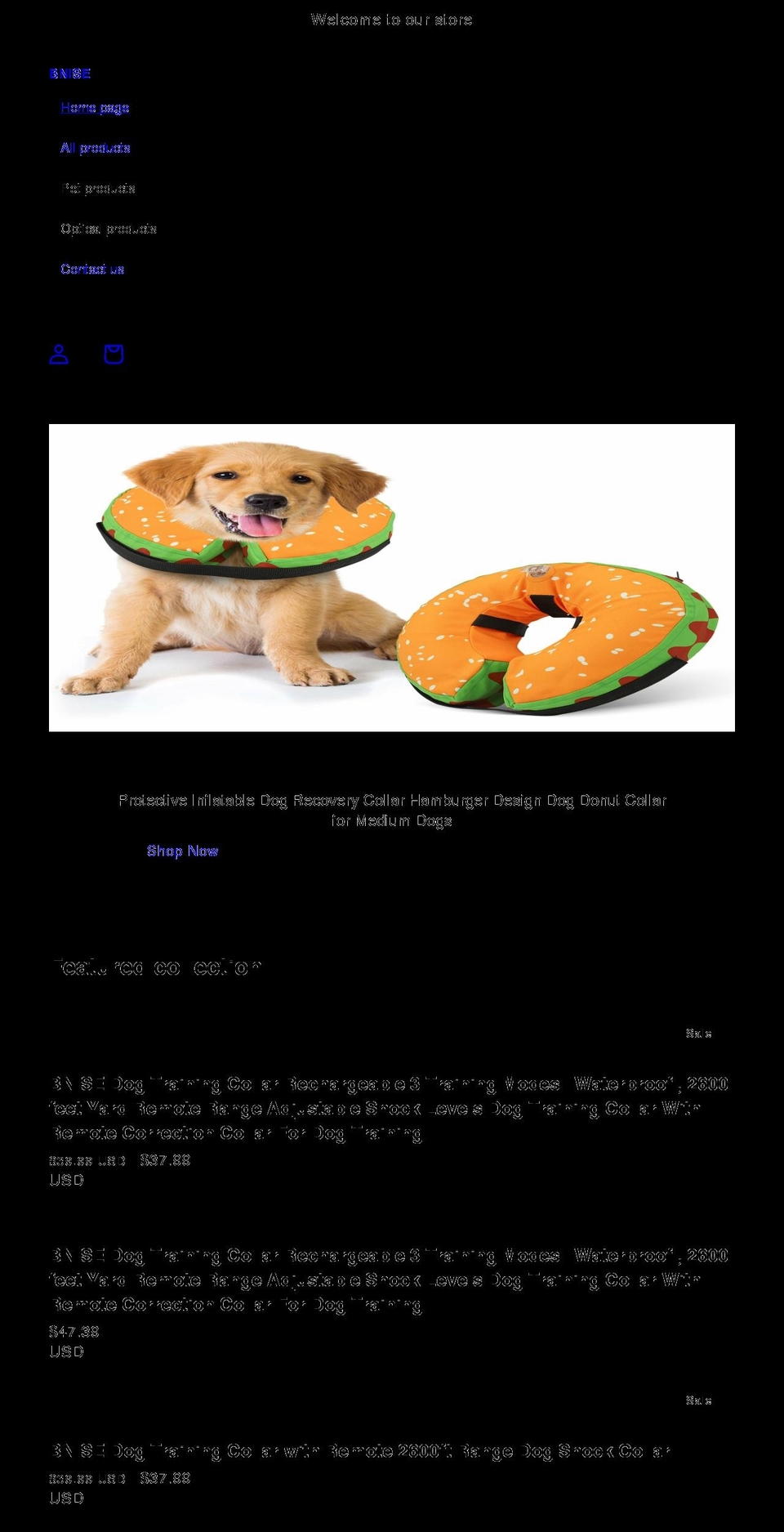 bnise.net shopify website screenshot