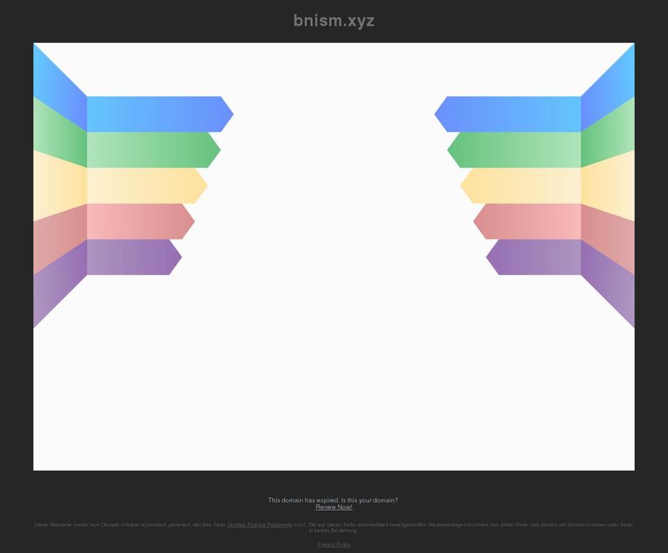 bnism.xyz shopify website screenshot