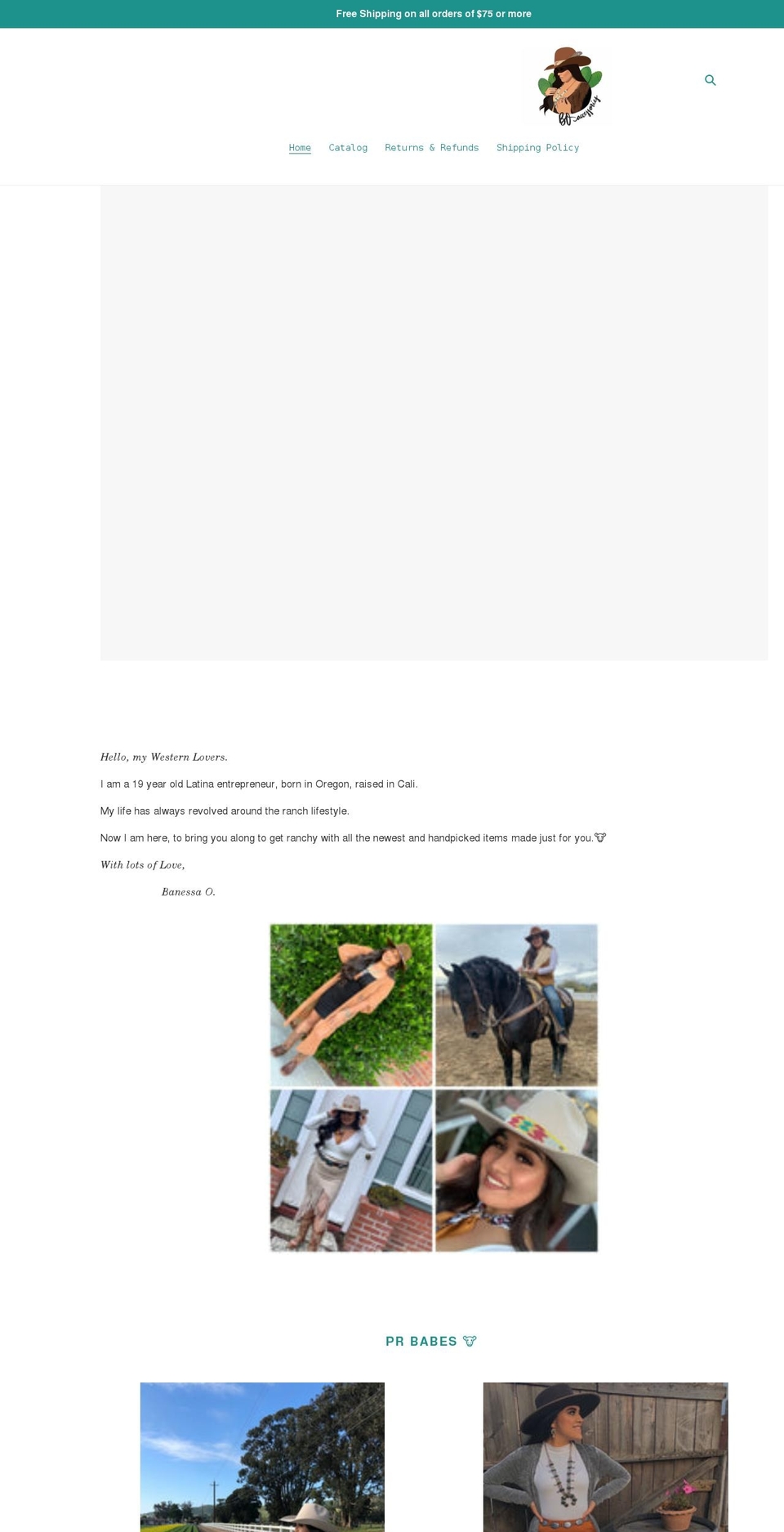 boaccessories.shop shopify website screenshot