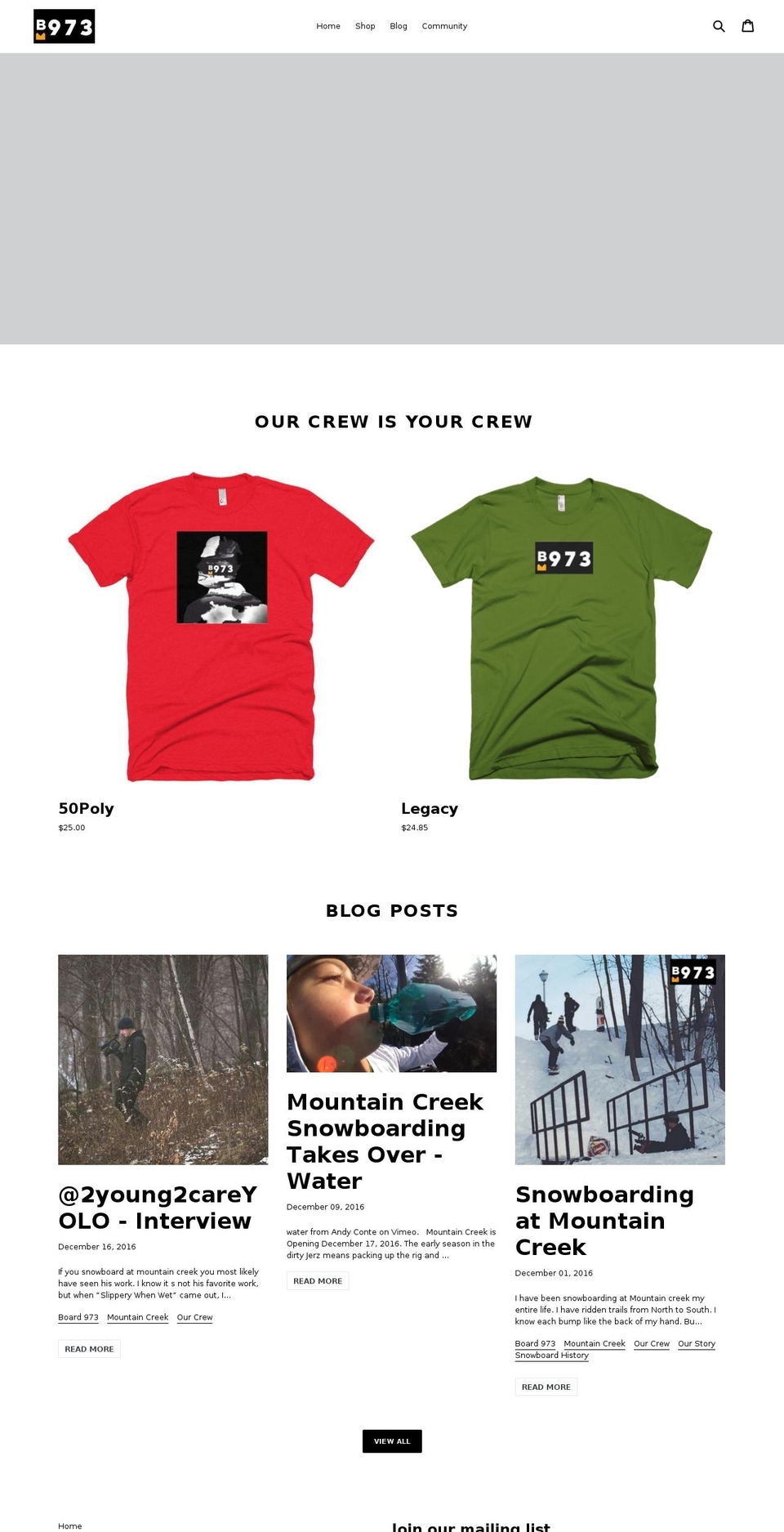 board973.com — Shopify storefront screenshot