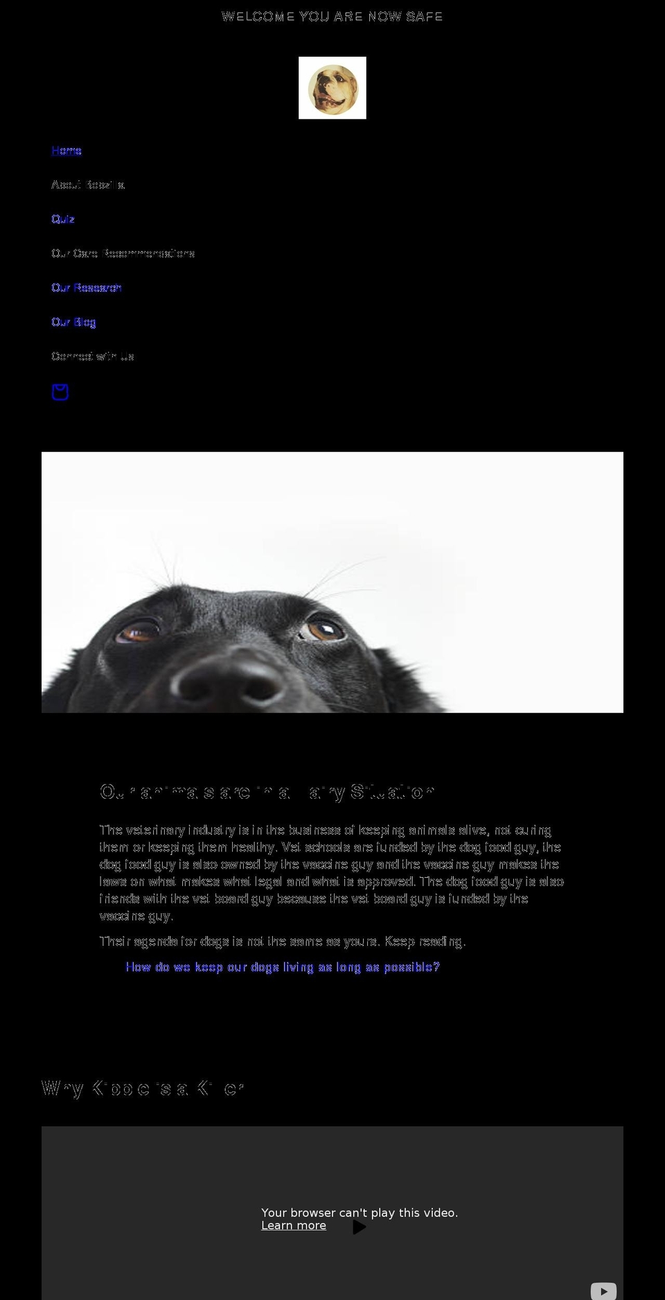 bobzilla.org shopify website screenshot