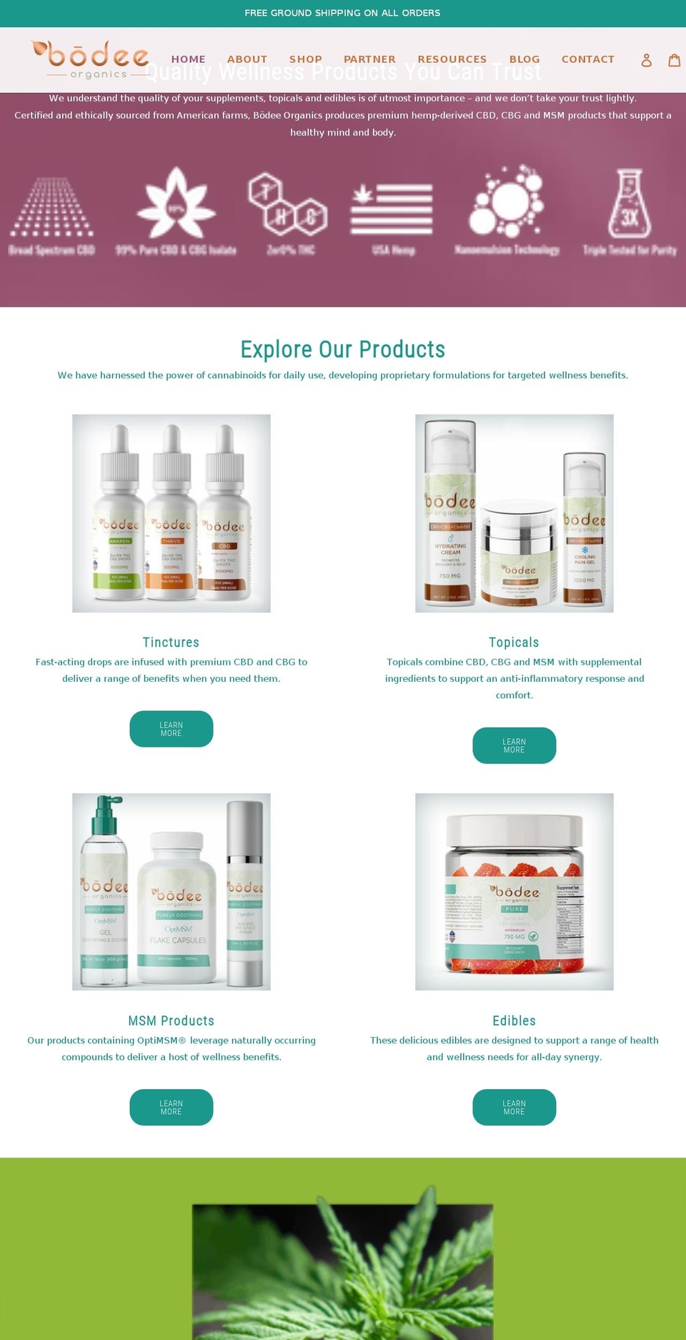 bodeeorganics.com shopify website screenshot
