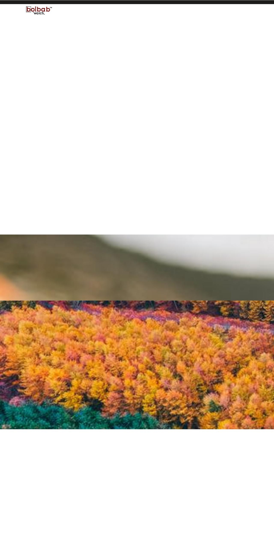 boibab.com shopify website screenshot