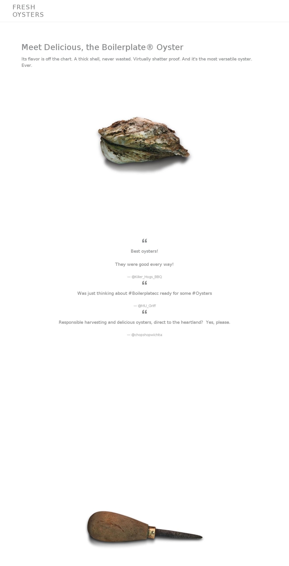 boilerplatebbq.com shopify website screenshot