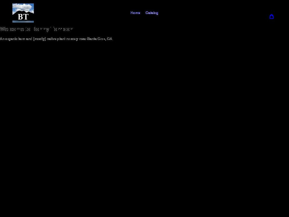 bonnytorridon.com shopify website screenshot
