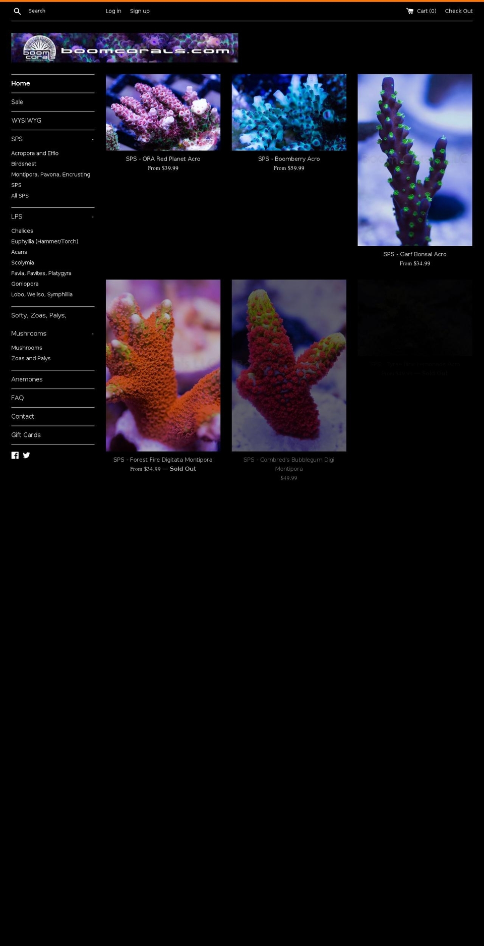 boomcorals.com shopify website screenshot