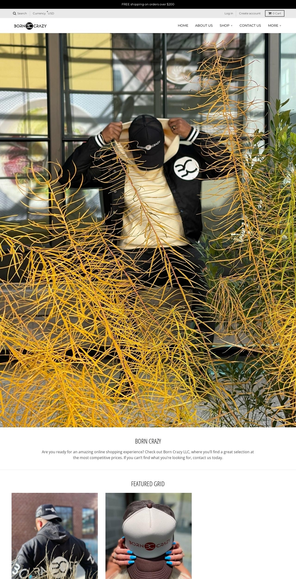 bornbccrazy.com shopify website screenshot