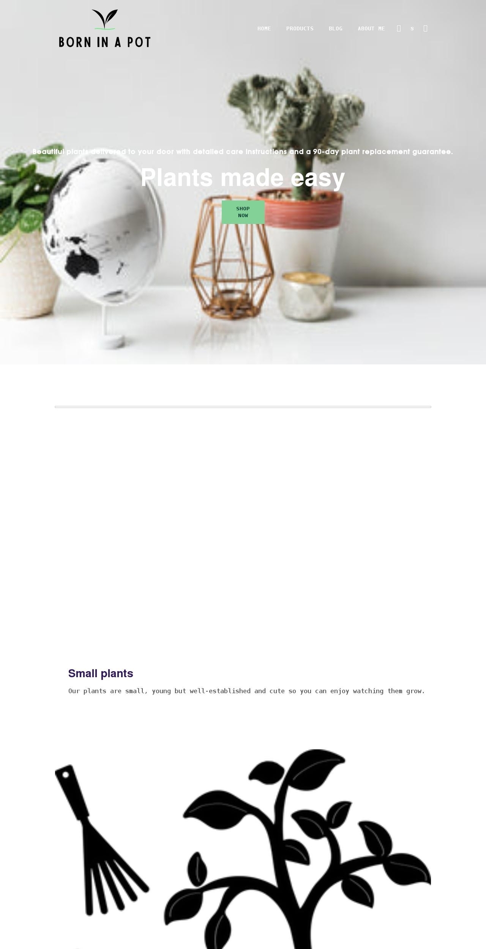 borninapot.com shopify website screenshot