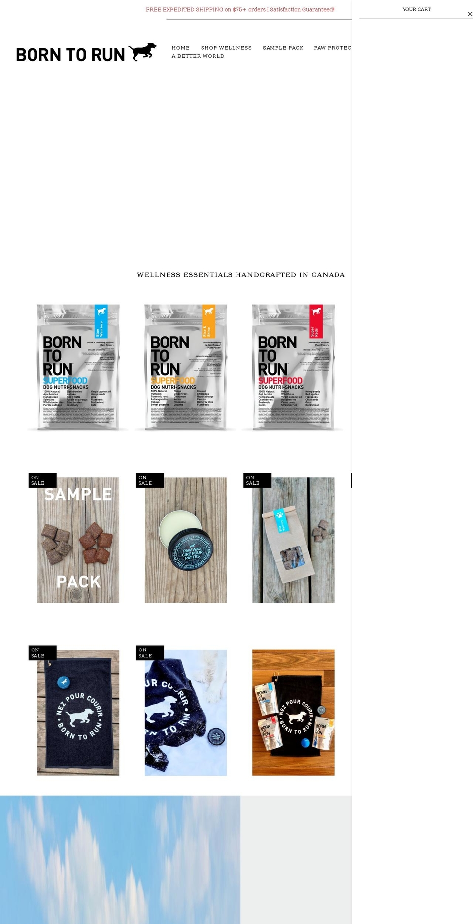 PXU - Shopify theme site example borntorundogtreats.ca