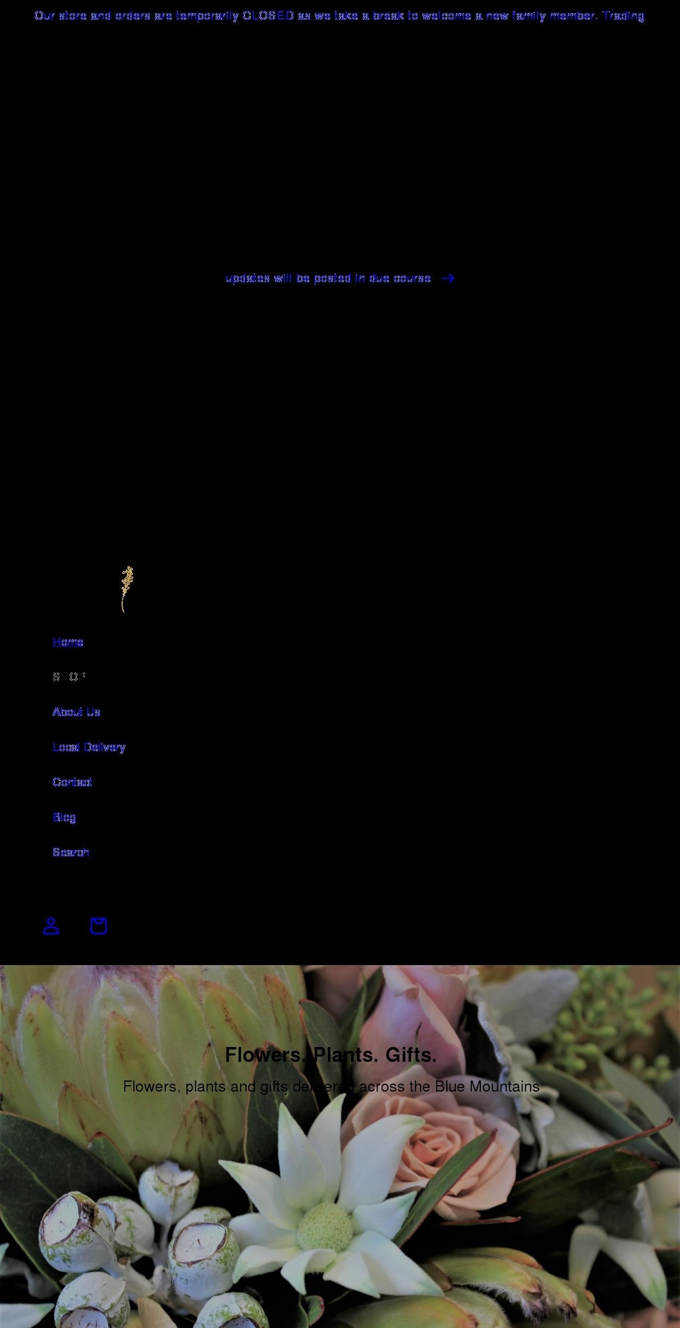botanical-art.com.au shopify website screenshot