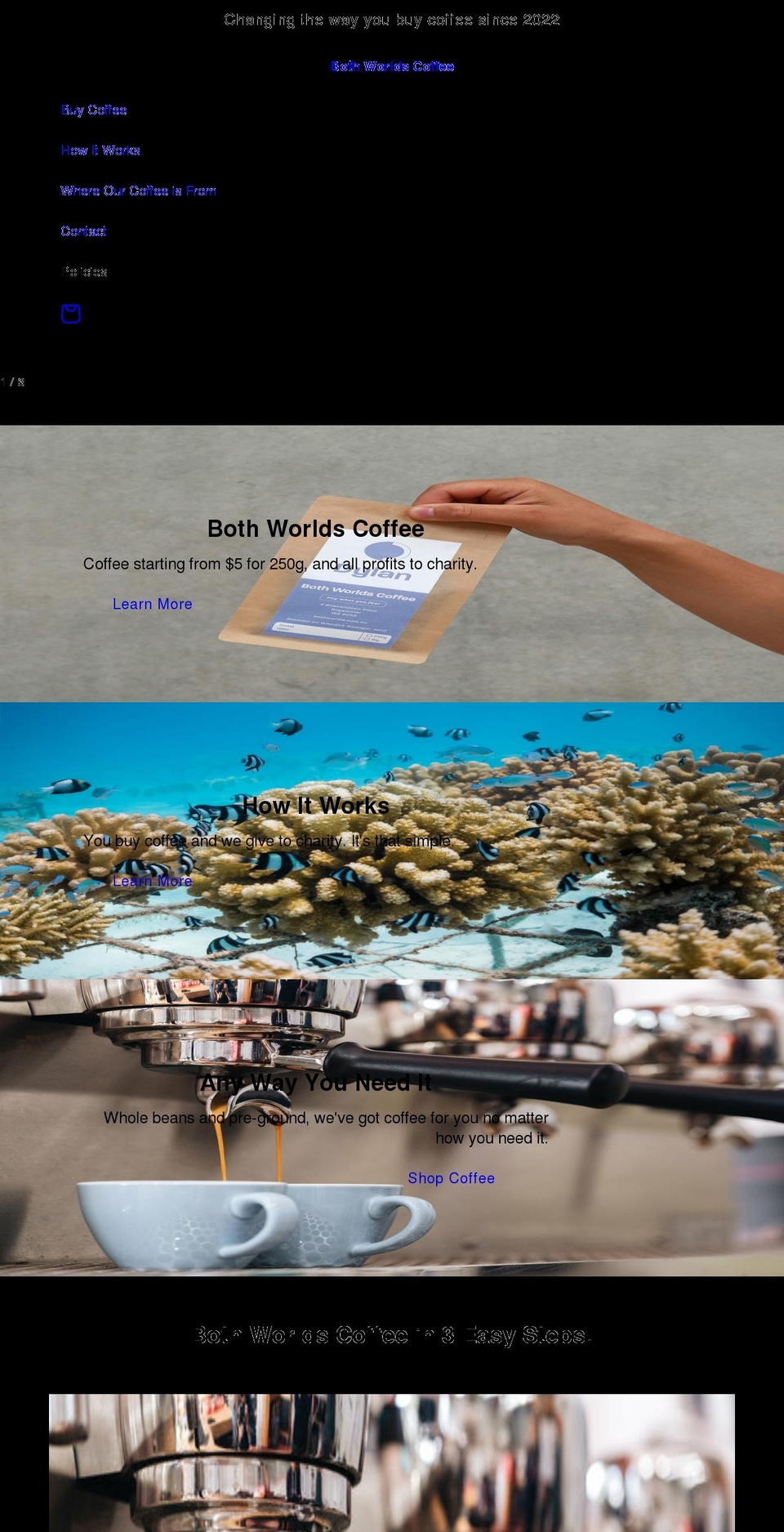 bothworlds.com.au shopify website screenshot