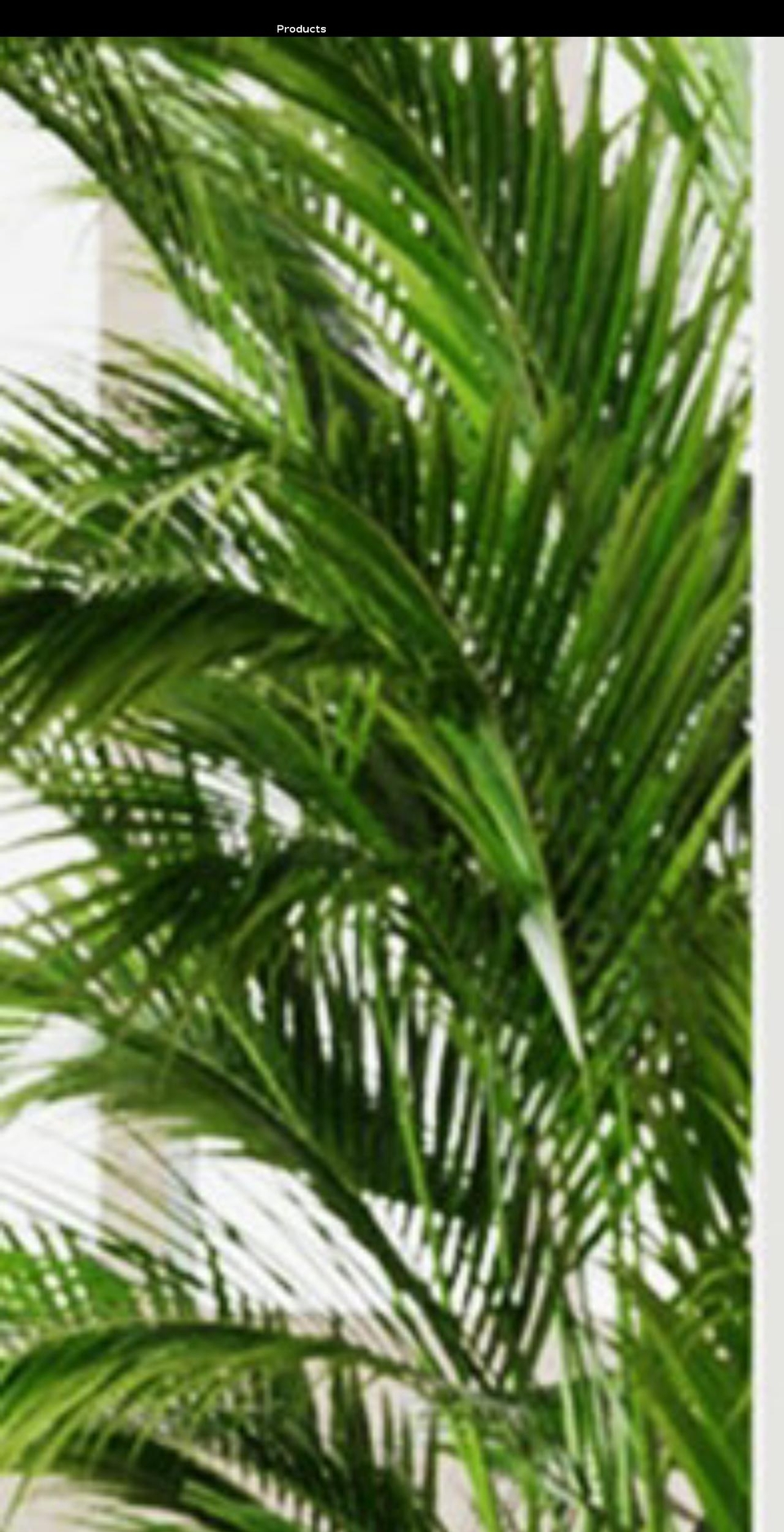 boulies.com.au shopify website screenshot