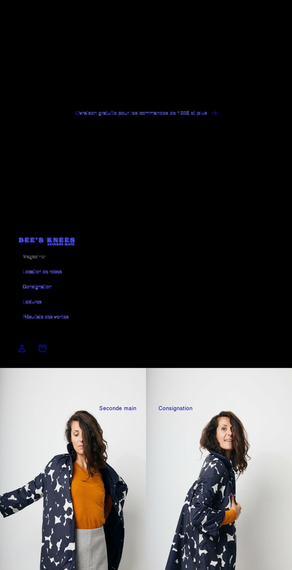 boutiquebeesknees.com shopify website screenshot
