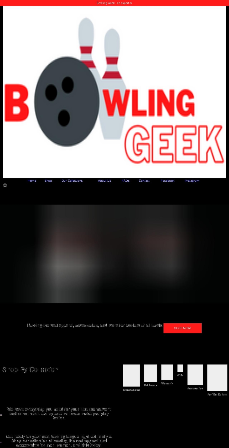 bowling-geek.com shopify website screenshot