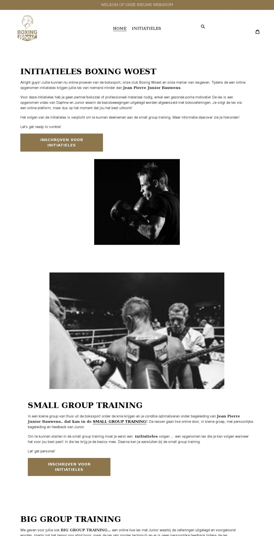 boxing-woest.myshopify.com shopify website screenshot