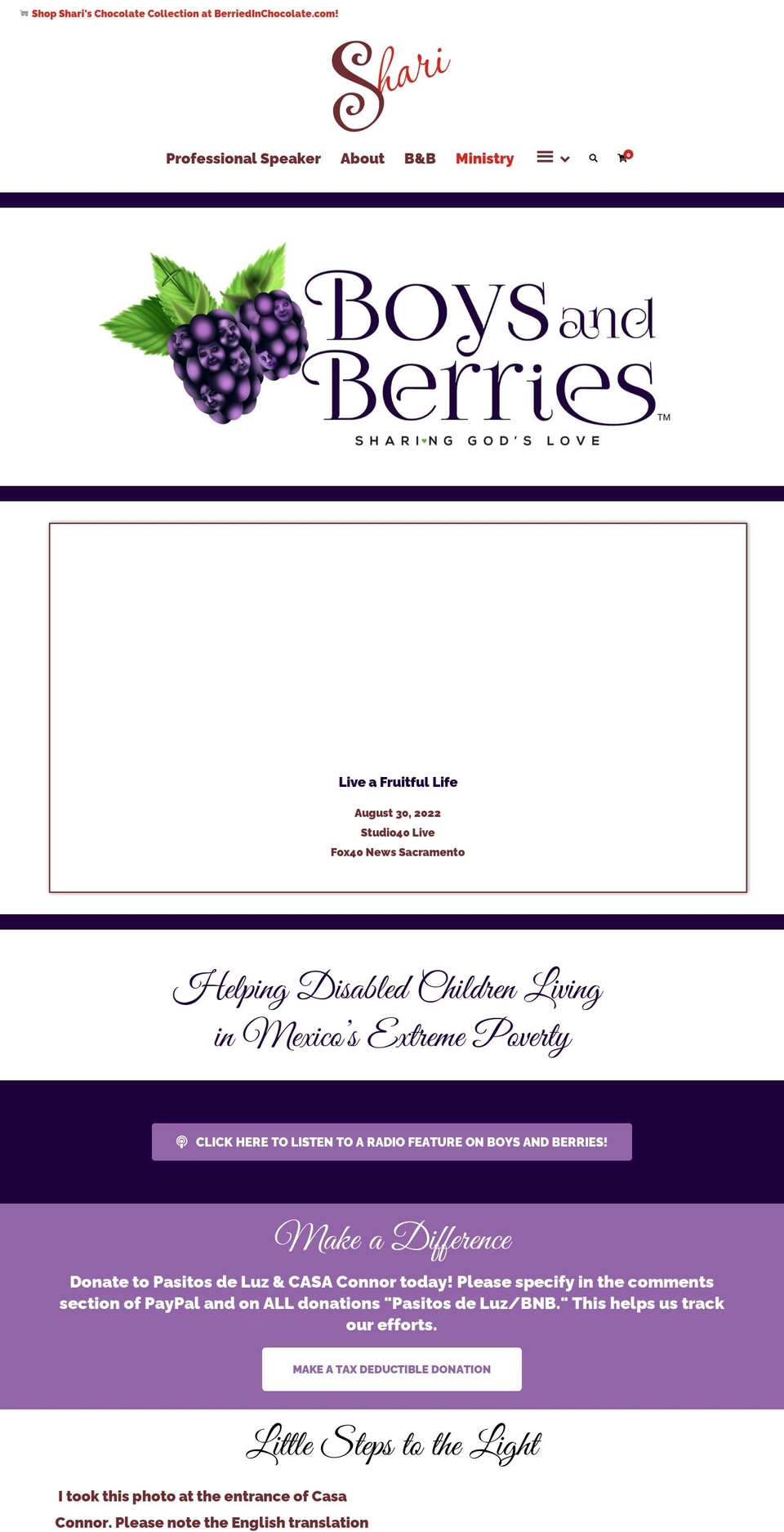 berried-in-chocolate Shopify theme site example boysandberries.org