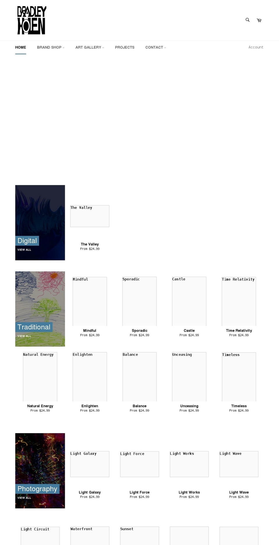 bradleyholen.com shopify website screenshot