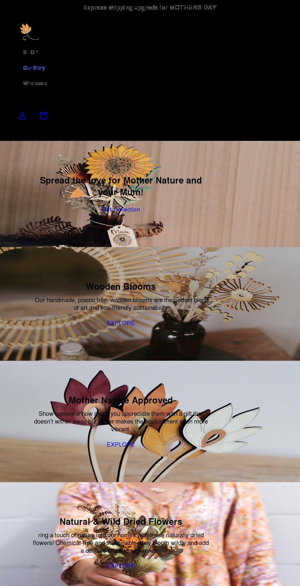 branchandbloom.com.au shopify website screenshot