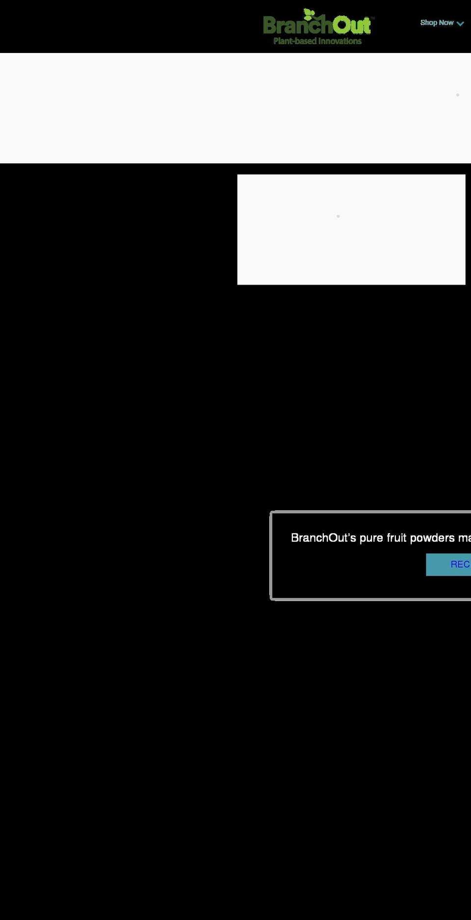 branchoutfood.com shopify website screenshot
