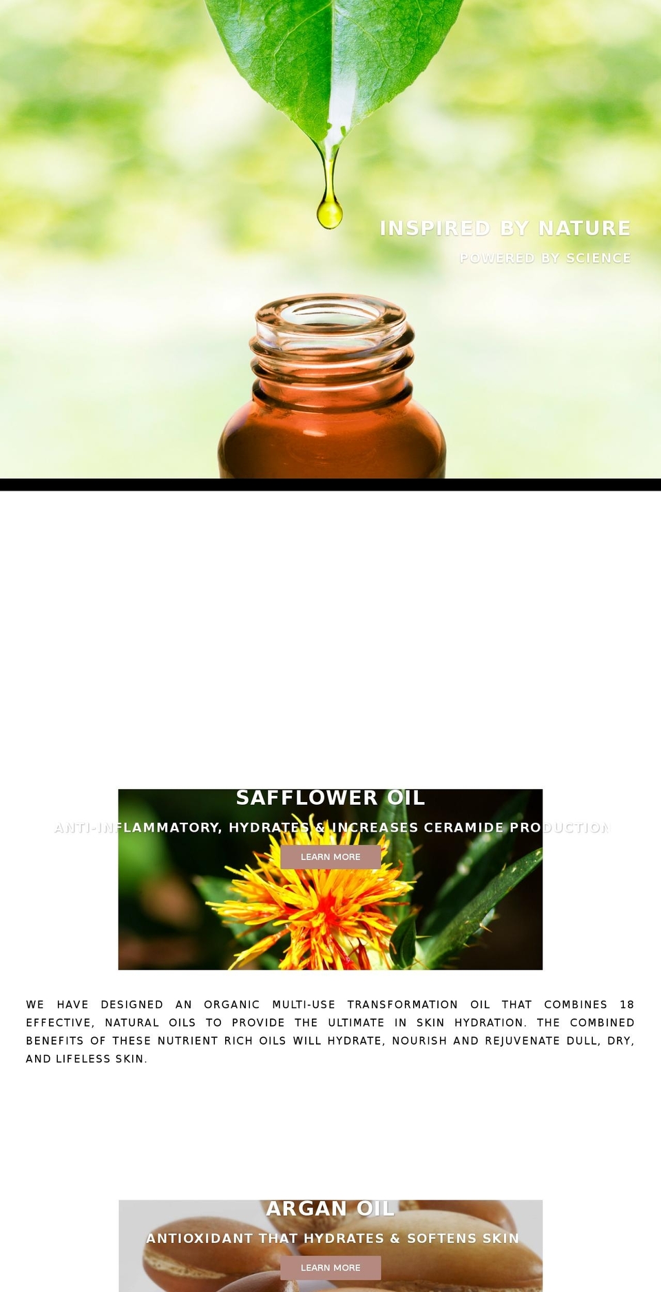 branddevelopmentcorporation.com shopify website screenshot