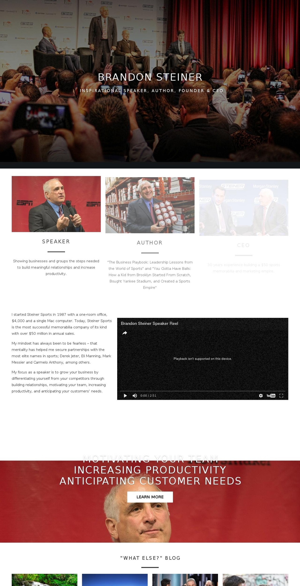 brandonsteinerblog.com shopify website screenshot
