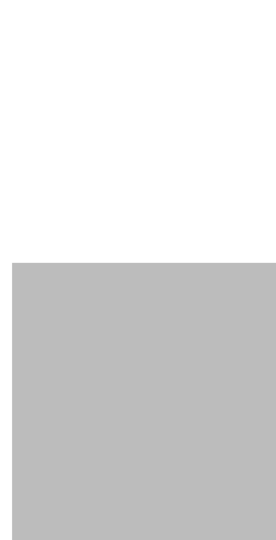 brave-star-selvage.myshopify.com — Shopify storefront screenshot
