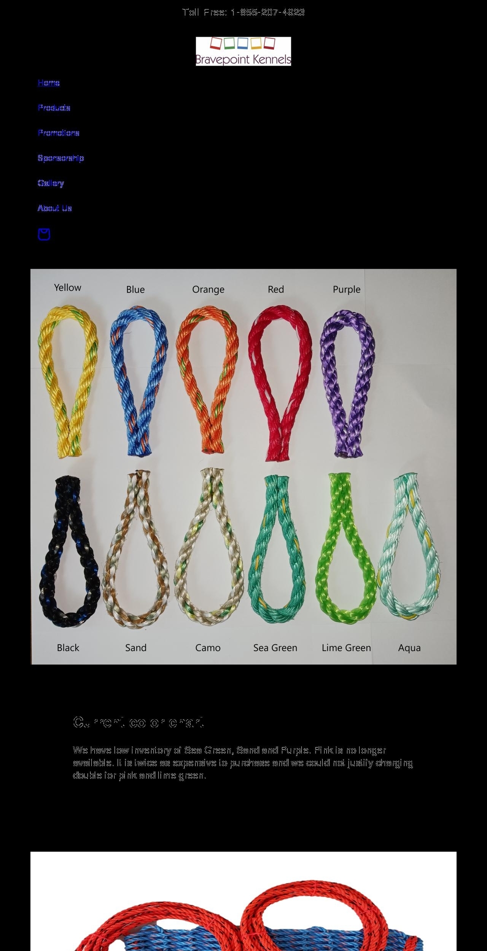 bravepoint.ca shopify website screenshot