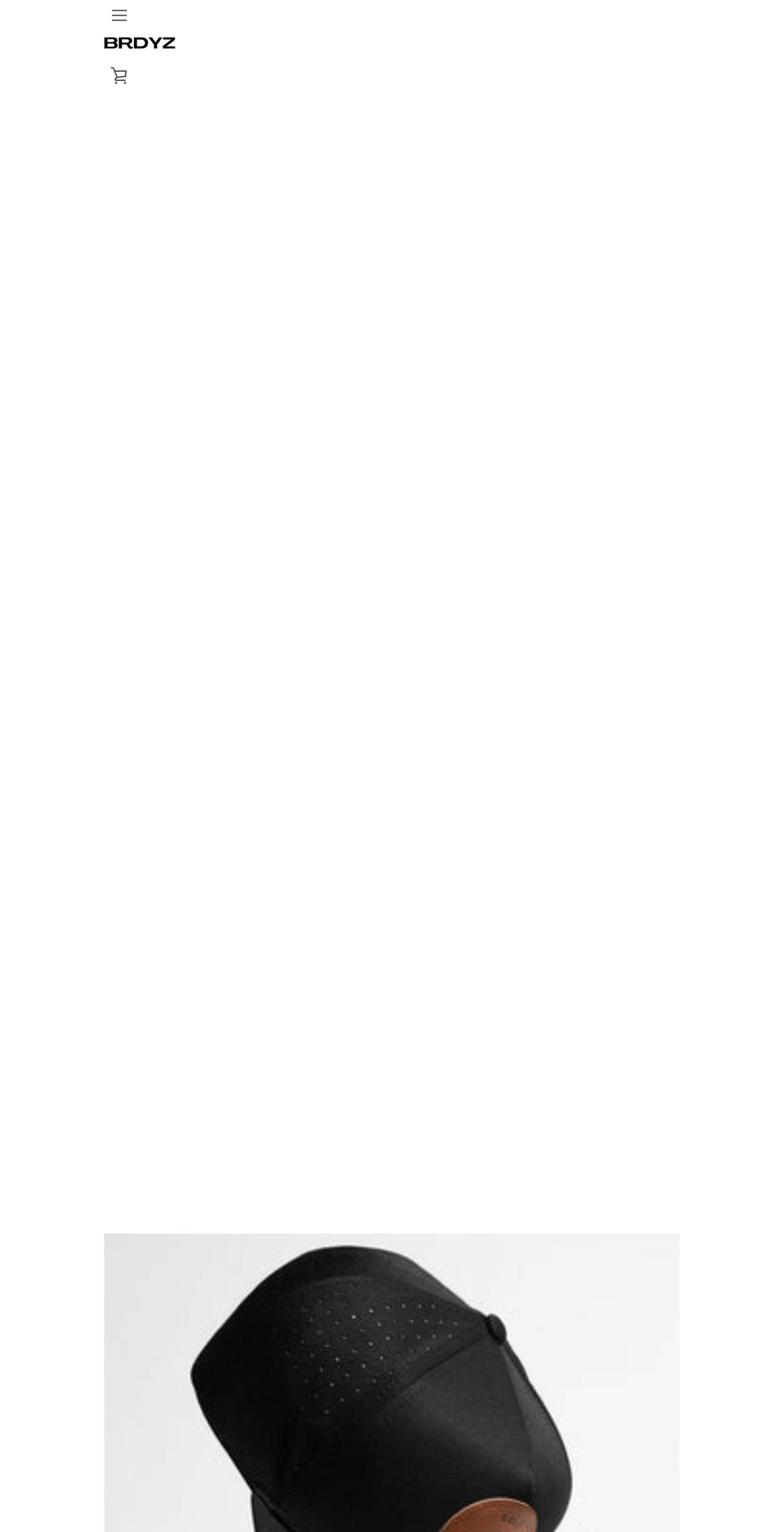 brdyz.com shopify website screenshot