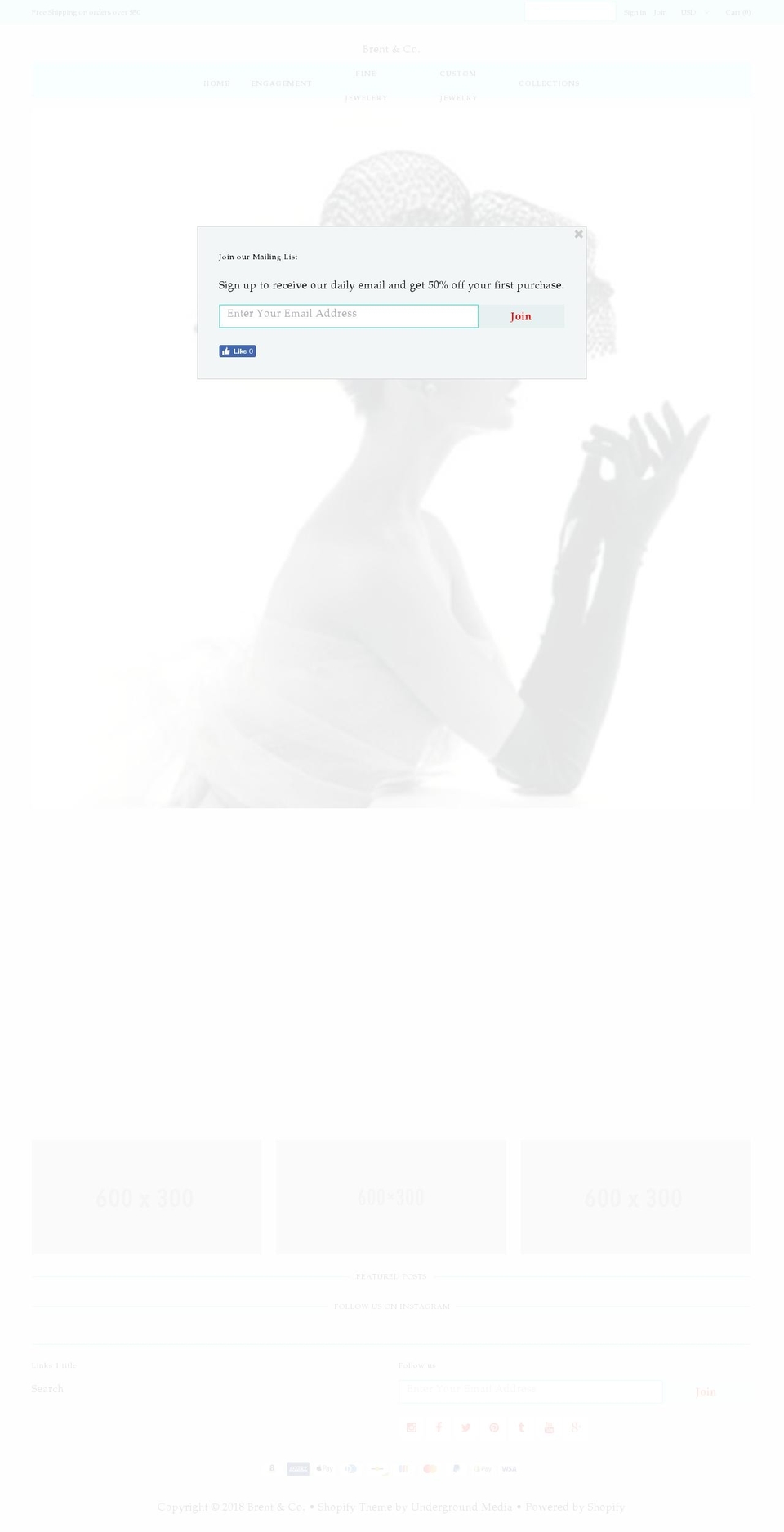 brentnco.com shopify website screenshot