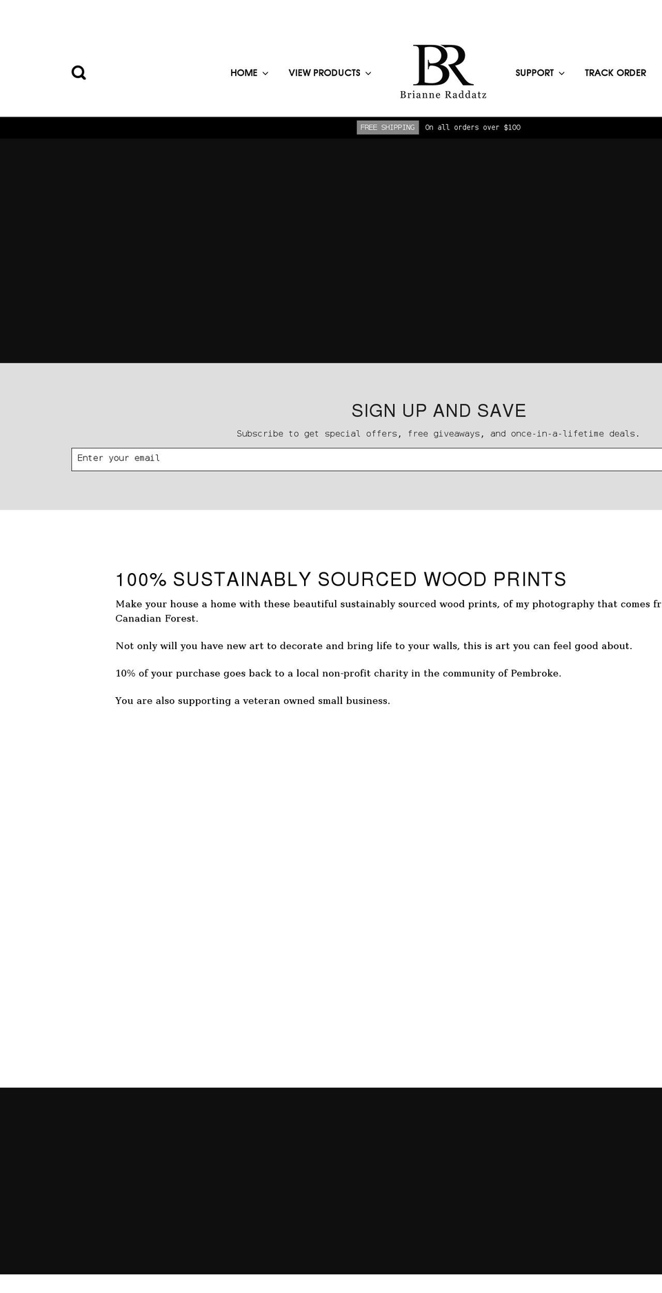 brianneraddatz.com shopify website screenshot