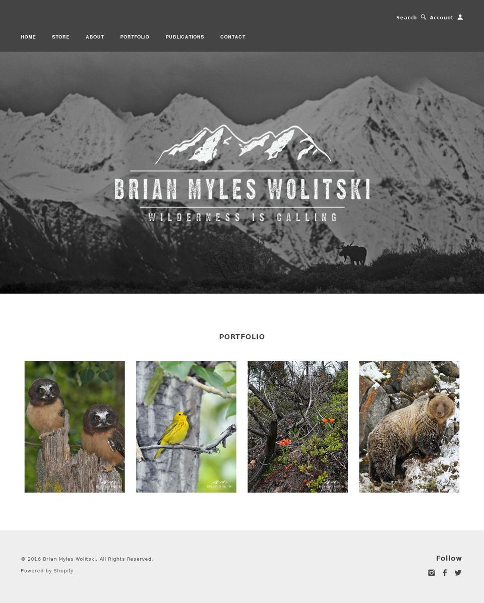 brianwolitskiphotography.com shopify website screenshot