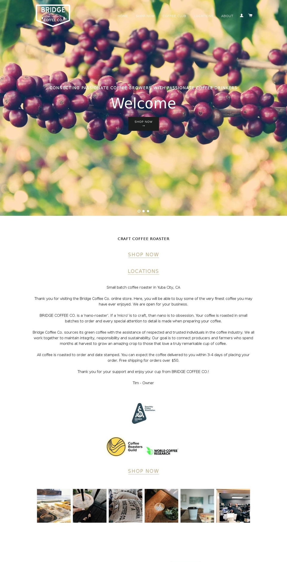 bridgecoffeecompany.com — Shopify storefront screenshot