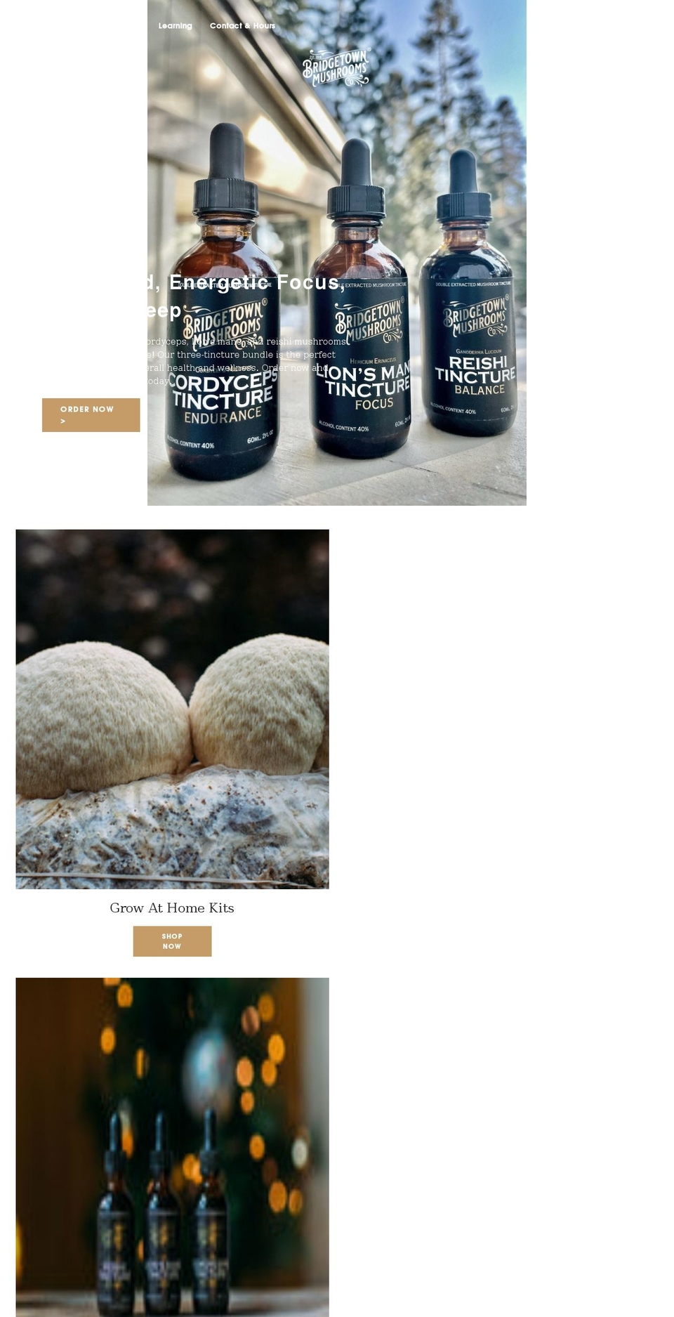 bridgetown-mushrooms.com shopify website screenshot