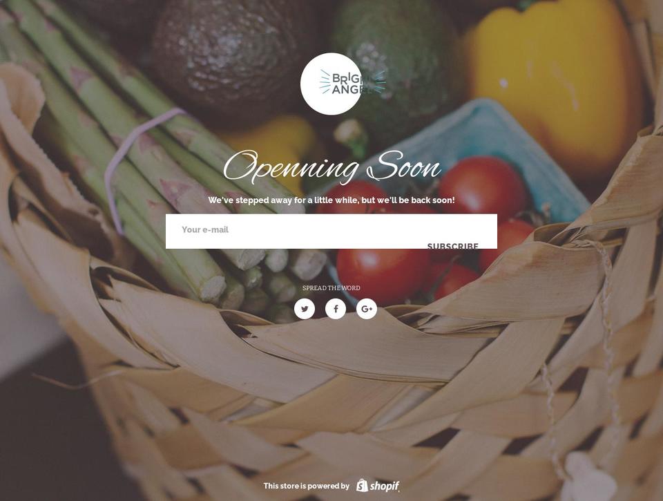 Foodly-shopify-theme-v--- Shopify theme site example brightangel.com