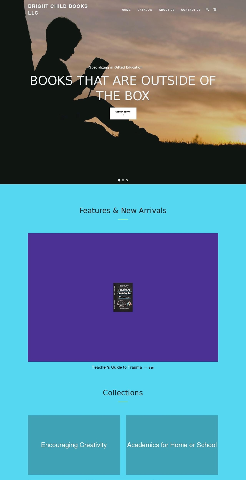 brightchildbooks.com — Shopify storefront screenshot