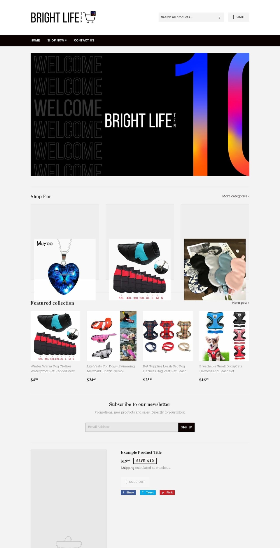 brightlife10.com shopify website screenshot