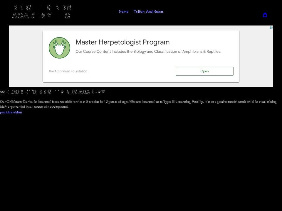 brightmindsacademyllc.com shopify website screenshot