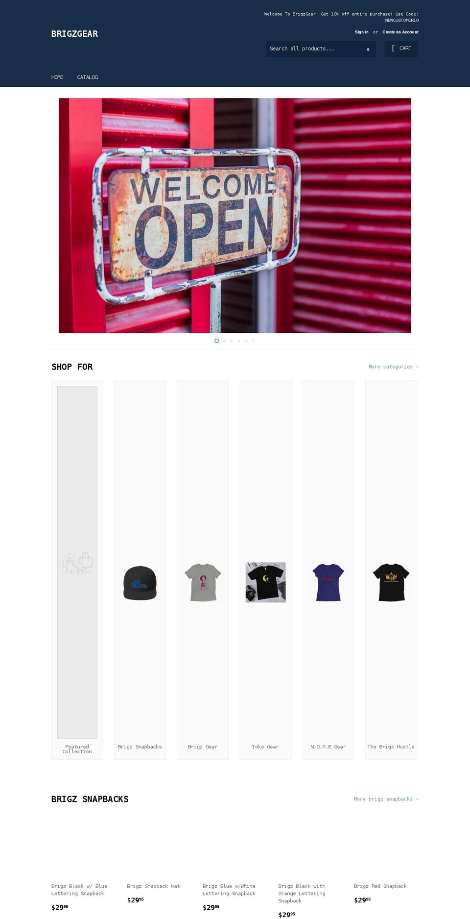 brigzgear.com shopify website screenshot
