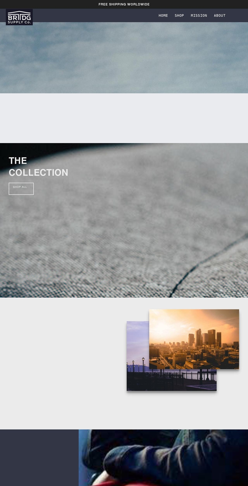 briidgs.com shopify website screenshot