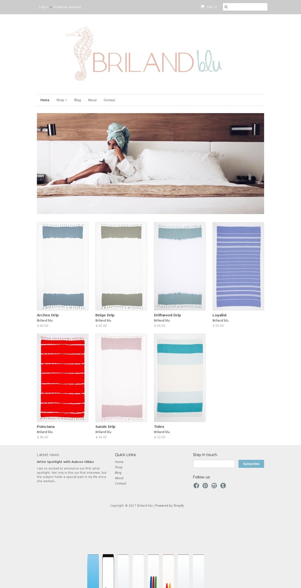brilandblue.com shopify website screenshot
