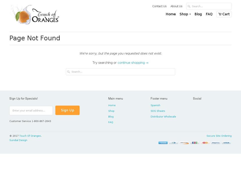 bringitonglasscleaner.com shopify website screenshot