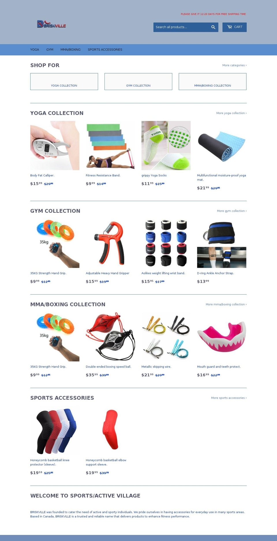briskville.com — Shopify storefront screenshot