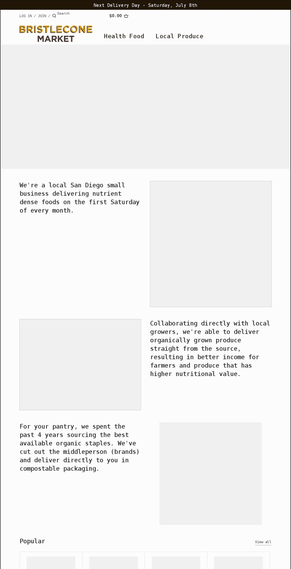 bristleconemarket.com shopify website screenshot