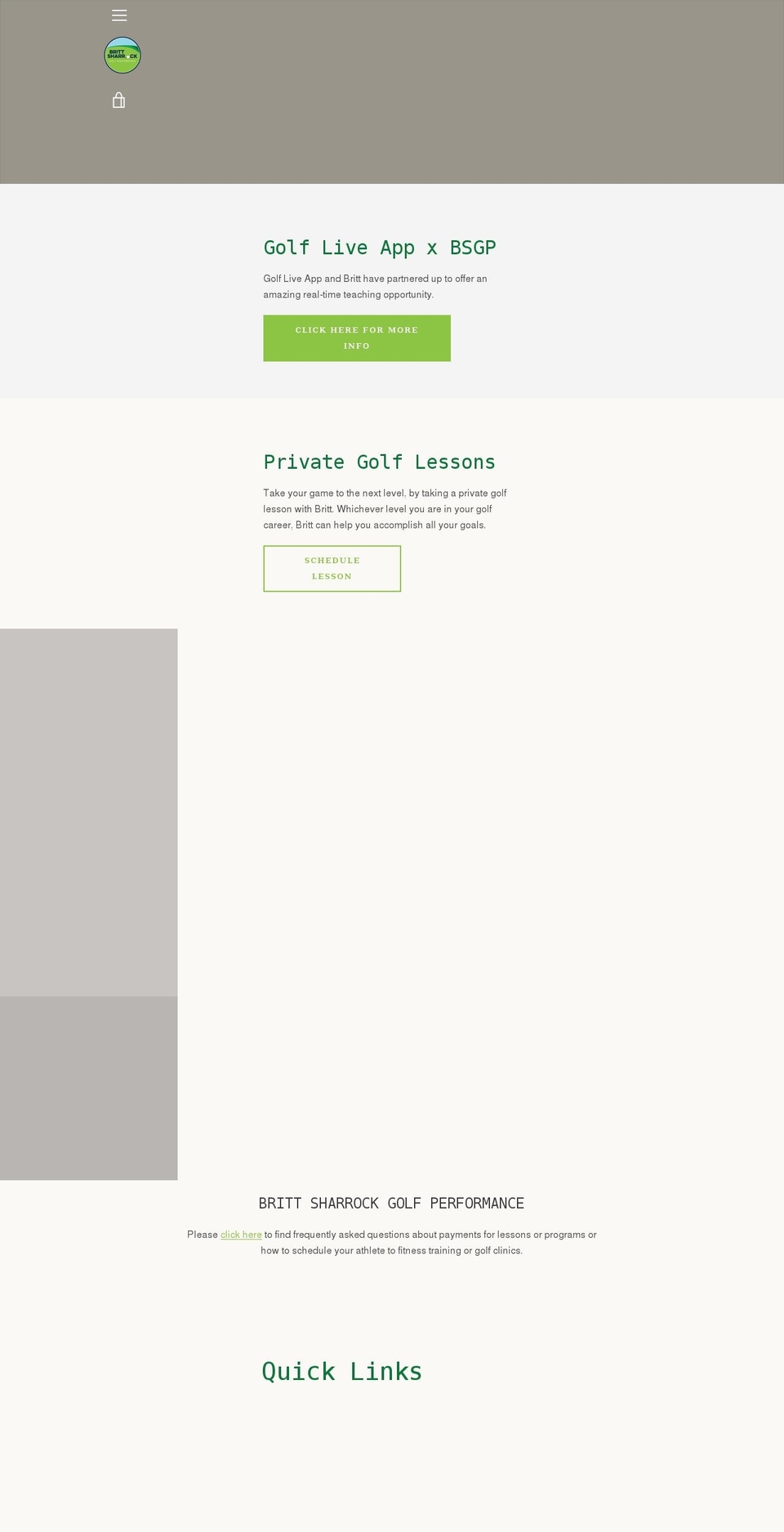 brittsharrockgolfinstruction.com shopify website screenshot