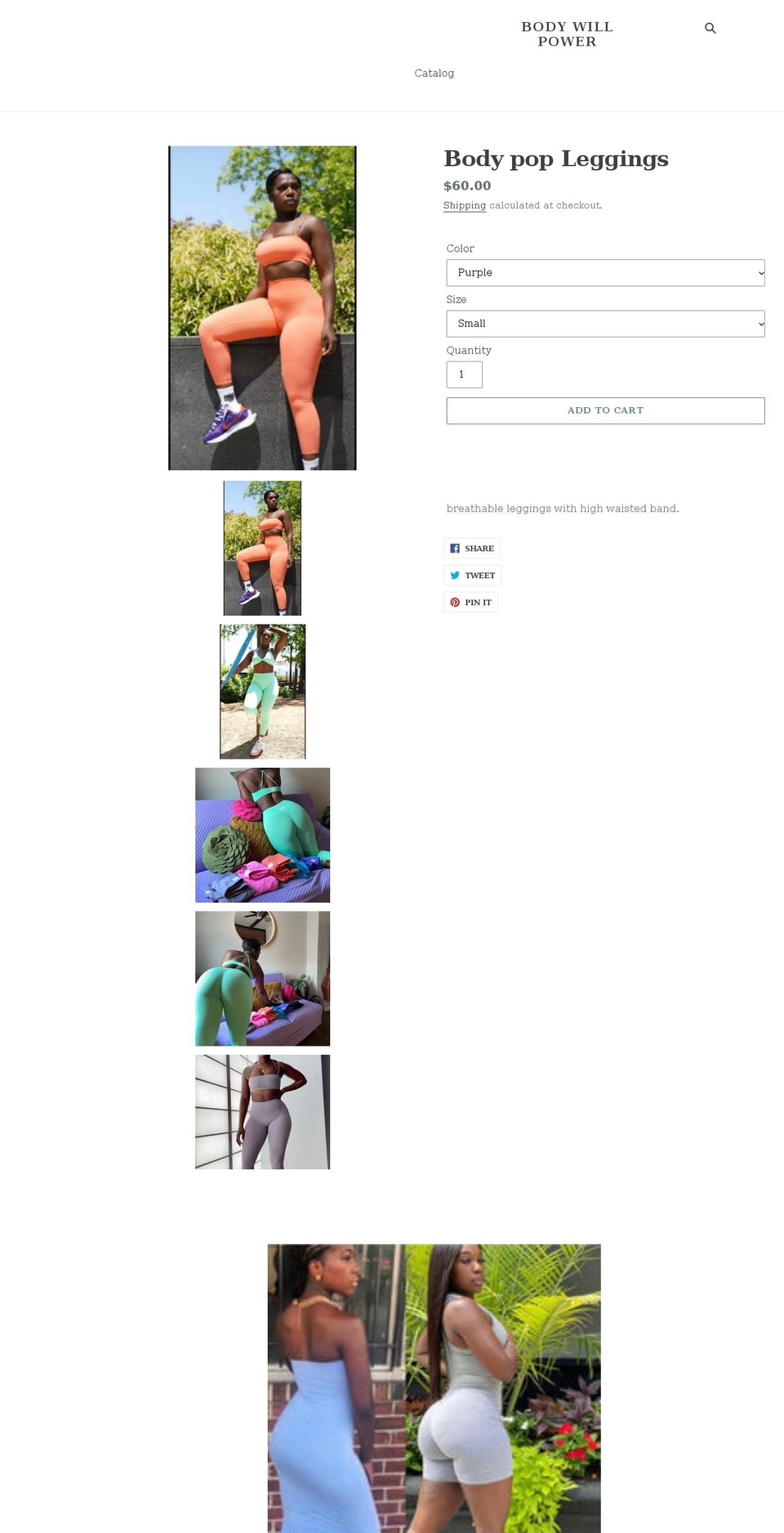 brizzleswp.com shopify website screenshot