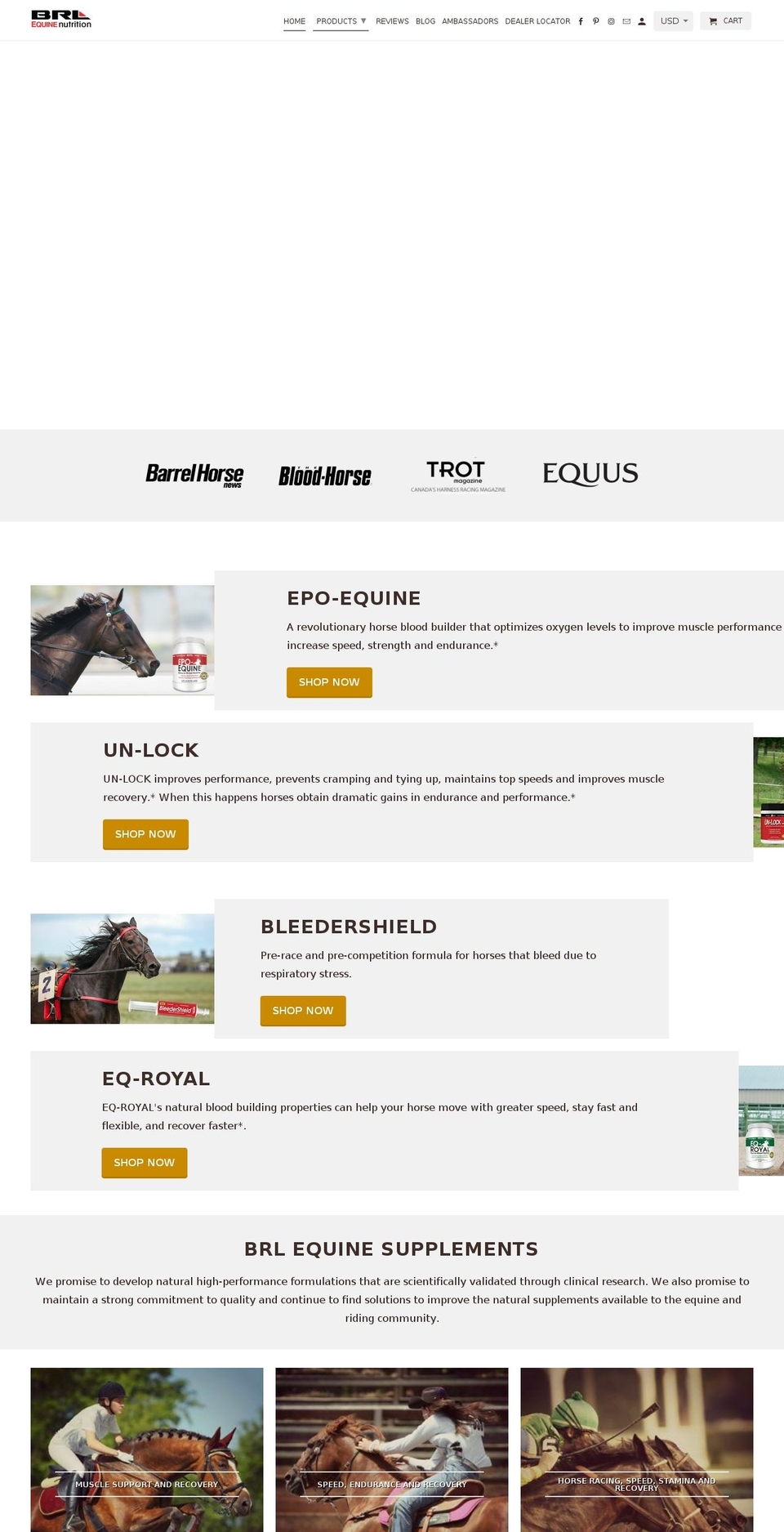 brlequine.com shopify website screenshot