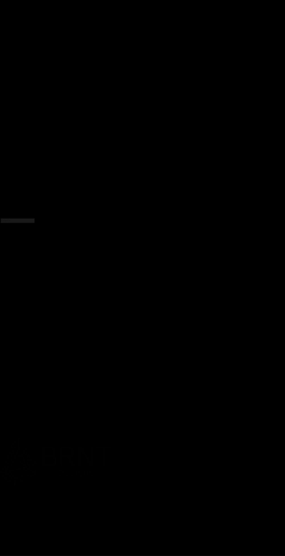 brnt.ca shopify website screenshot