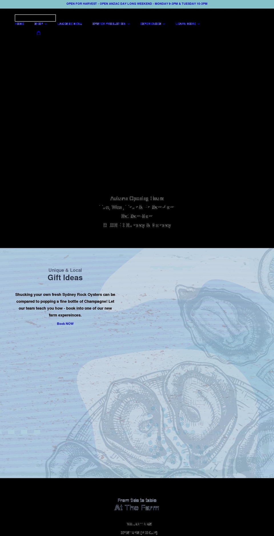 broadwateroysters.com.au shopify website screenshot