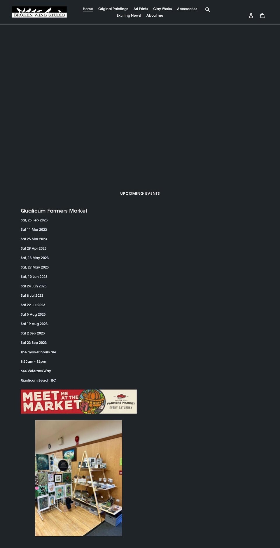 brokenwingstudio.com shopify website screenshot